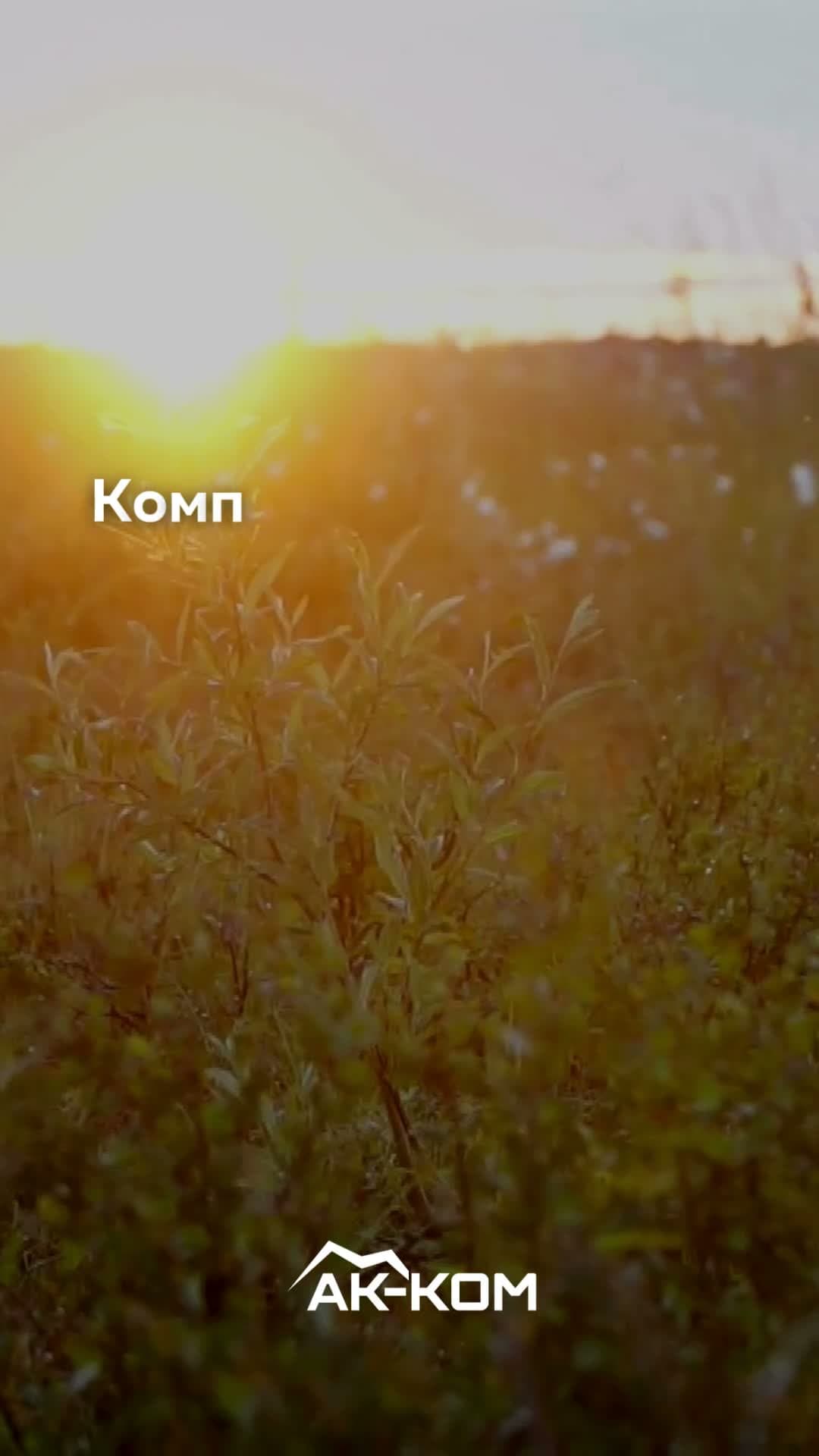 Превью видео 7